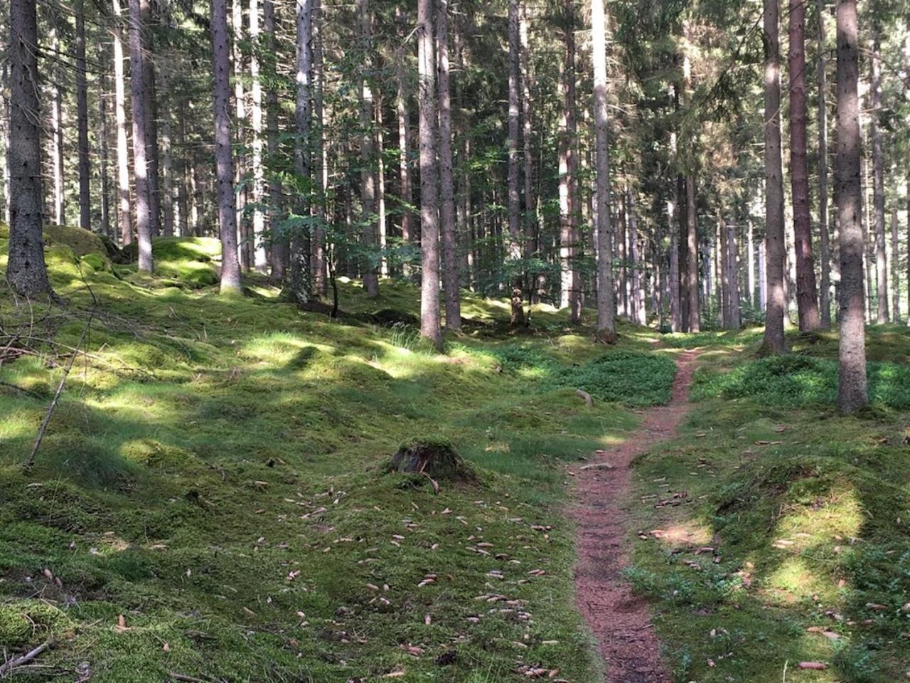 Lille Carlsson Villa Broby Eksteriør bilde